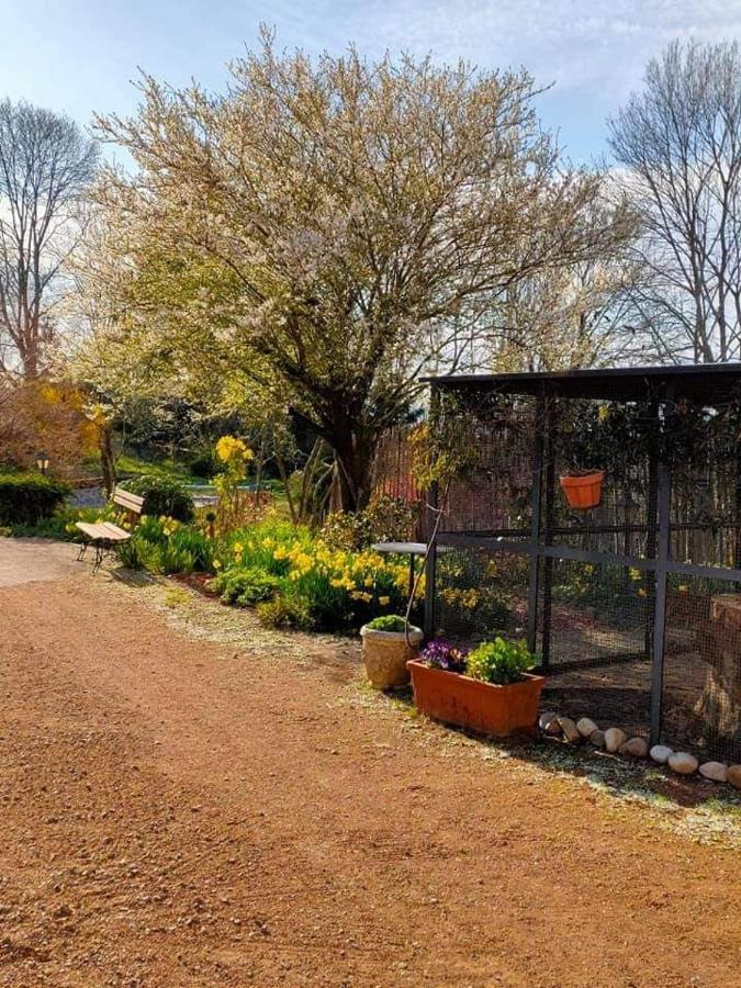 Homestay Le Marais Des Littes